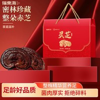 福東海 福东海整朵灵芝片礼盒装600克