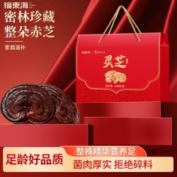 福東海 福东海整朵灵芝片礼盒装600克
