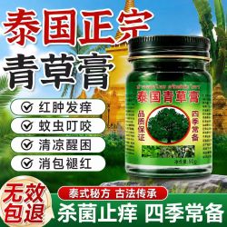 泰国配方青草膏蚊虫叮咬进口成分止皮肤瘙痒晕车清凉油膏1瓶