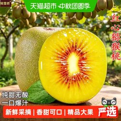 尙楚坊 红心猕猴桃