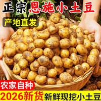 恩施 正宗恩施小土豆现挖湖北新鲜黄心土豆当季蔬菜整箱迷你马铃薯洋芋 2500g 小土豆