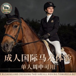 单成人国际马术体验