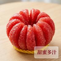福建平和  三红蜜柚   三红柚 4.5斤装 1-2个