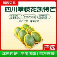 四川攀枝花凯特芒 中小果（约200g-220g） 带箱5斤 净重4.5斤