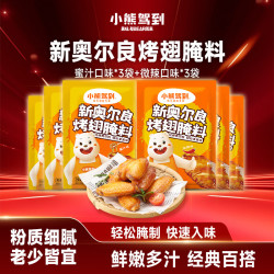 Bear Coming 沙司腌料组合装 450g（番茄沙司240g+新奥尔良烤翅腌料 微辣味35g*3袋+新奥尔良烤翅腌料 蜜汁味35g*3袋）