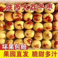 正宗陕西大荔冬枣新鲜水果应季鲜大枣脆甜冬枣中秋送礼