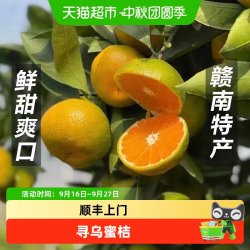 麦菲兔 源头直发 蜜桔