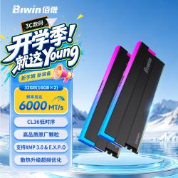 佰维 32G(16G×2)套装 DDR5 6000频率台式机内存条 时空行者DW100 RGB灯条(C36)黑色 AI PC电脑配件