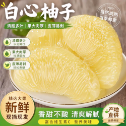 三萌果蔬 福建正宗平和新鲜白心柚子当季水果水晶蜜柚产地直发现摘大果白肉 9斤精选果净重8.5斤