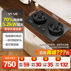 海尔 出品统帅天然气燃气灶煤气灶双灶家用煤气炉灶台灶具炉灶V1