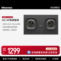 海信 E5S燃气灶煤气灶家用双灶天然气猛火灶官方正品