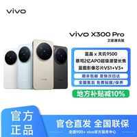 vivo x300pro 16+512