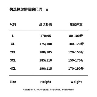 雅鹿 男士平角内裤 抗菌款 线条印花 XL码 4条装