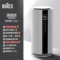 bures 空气净化器除甲醛神器除醛仪器办公室新家入住客厅去甲醛