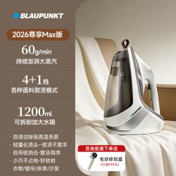 BLAUPUNKT 百年德国蓝宝熨烫机家用小型手持挂烫机新款蒸汽电熨斗烫衣服神器