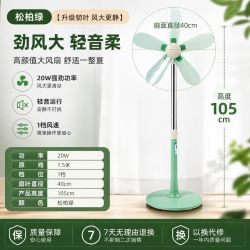 中联 电风扇落地扇台扇家用立式台式遥控扇软叶宿舍电扇大风力音轻