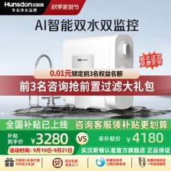 汉斯顿 0阻垢剂双水净水器家用直饮厨房自来水过ro反渗透纯水机C2