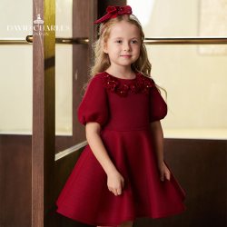 大卫查尔斯 DAVIDCHARLES女童春装社交演出服儿童生日礼服奢品公主裙