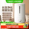 海尔 加湿器家用卧室小型孕妇婴儿办公室桌面补水抑菌净化空气
