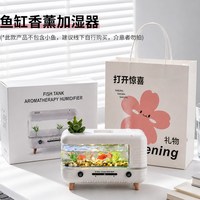 光彩年华 加湿器小型办公室宿舍学生桌面摆件2026新款工位家用卧室静音雾化器静音迷你款便携式usb充电生日礼物女生的