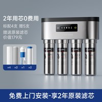 德克西 德国德克西政府补贴净水器家用不锈钢直饮自来水过滤器RO净水机
