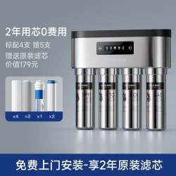 德克西 德国德克西政府补贴净水器家用不锈钢直饮自来水过滤器RO净水机