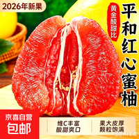京喜加 正宗红心蜜柚薄皮平和红肉柚子头茬老树大果新鲜水果 平和三红蜜柚 净重1.5-2斤1个装