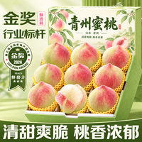 三萌果蔬 正宗青州蜜桃脆甜当季蜜甜桃新鲜水果送礼 5斤精选装净重4.5斤
