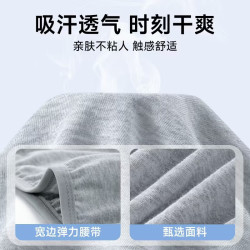一次性内裤男士三角灰5条 2XL