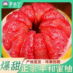 芋小丫 彩箱正宗福建平和琯溪蜜柚子超甜孕妇新鲜应季水果薄皮