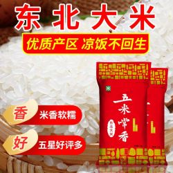 五米常香 五常大米稻香米10斤20斤东北大米50斤10斤珍珠米批发