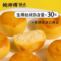 鲍师傅 椰蓉饼袋装375g