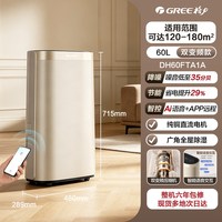 格力 双变频除湿机别墅家用工业抽湿防潮60升全能王
