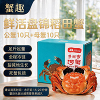 蟹趣 网兜蟹蟹趣盘锦河蟹稻田蟹原生带泥中秋送礼鲜活大闸蟹 公母混搭1.0-1.3两/只 20只净重约2.2斤
