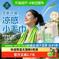 88VIP：润荷 凉感毛巾降温清洁持久凉巾便携独立装户外军训消暑止汗冰巾