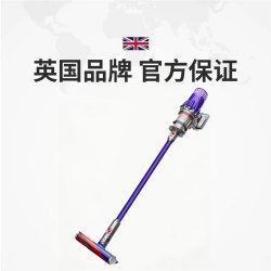 dyson SlimFluffy无线吸尘器同V10送支架