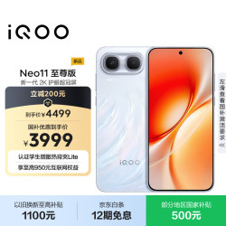 vivo iQOO Neo11至尊版 手机 16GB+512GB 乘风