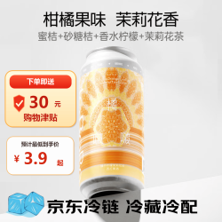 纸飞机酿造 橘啵啵橘子柠檬茉莉花茶西打 473ml*1罐