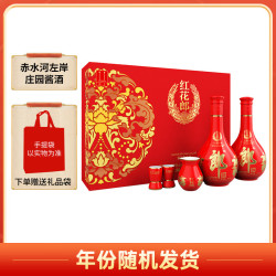 郎酒 红花郎10 53%vol 酱香型白酒 500ml*2瓶 礼盒装