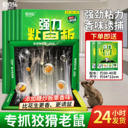 欧克乐 粘鼠板家用粘鼠板强力胶粘大老鼠强力粘板强力老鼠贴强力胶灭鼠