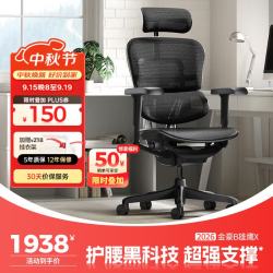 Ergonor 金豪B 2代 人体工学电脑椅 黑色 美国网款