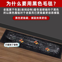 老鼠笼灭鼠魔毯粘鼠板家用粘鼠板捉抓粘捕鼠神器大老鼠一窝端粘板