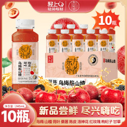 东方补者 乌梅熬山楂2.0乌梅汤酸甜解渴饮料夏日清爽草本植物饮料熬煮饮品