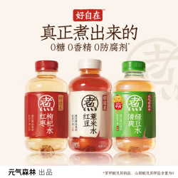 元气森林 自在水红豆薏米水陈皮水500ml*2瓶0脂红枣枸杞植物饮料