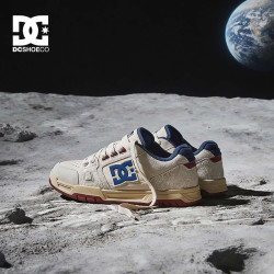 DCSHOES ASTRA  美式爆裂纹板鞋男百搭休闲鞋复古户外低帮男鞋