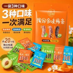 溜溜梅 318g缤纷多味梅条解馋休闲零食中秋分享