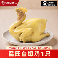 温氏 广东白切鸡 散养土鸡 广式熟食