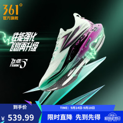 361° 男鞋运动鞋飞燃5新品碳板竞速训练马拉松跑步鞋男 正燃 42