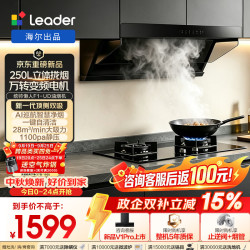 Leader F1-UD 28m³大吸力 顶侧双吸 抽油烟机