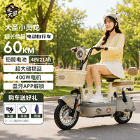 雅迪 大圣电动车 小灵龙 新新国标可上牌48v铅酸大电池时尚成人小型女生电动自行车 灰色 48V21A铅酸